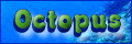 ()INgpX
