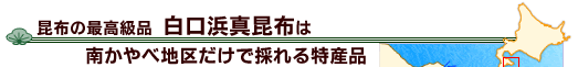 昆布の最高級品 白口浜真昆布