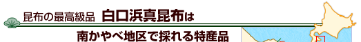 昆布の最高級品 白口浜真昆布