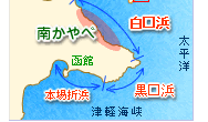 南茅部特産品 白口浜真昆布