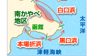 南茅部特産品 白口浜真昆布