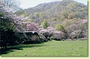 川汲自然公園