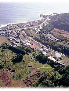 縄文遺跡・大船C遺跡